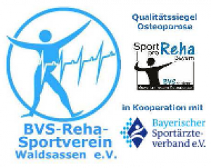 Logo des BVS